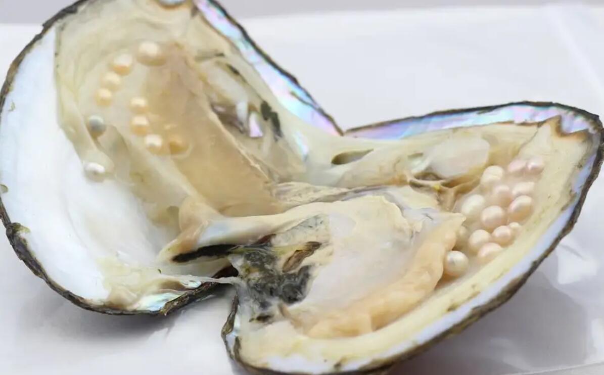 X-RAY检查机的应用领域包括医疗工业食品检测，也可以用于珠宝资产鉴定