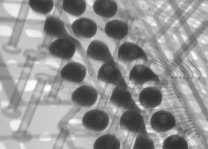 BGA球栅阵列空洞与变形的XRAY三维成像分析